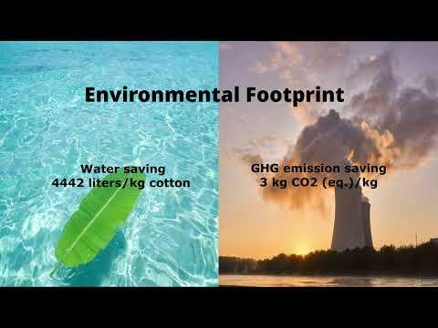 Circularity in ZZ Business
