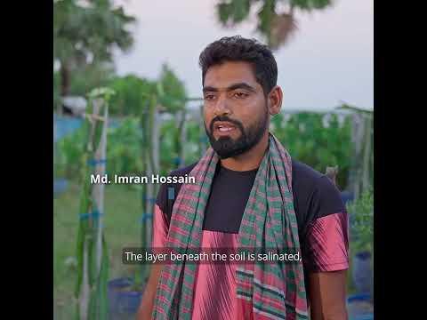 UNOPS International