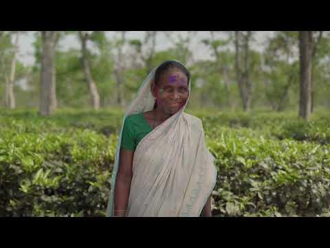 UNICEF: Sylhet Tea Garden Worker